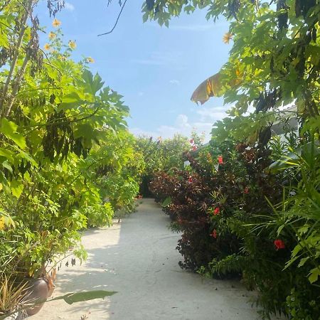 Coral Castle - Goidhoo Maldives Hotel Екстериор снимка