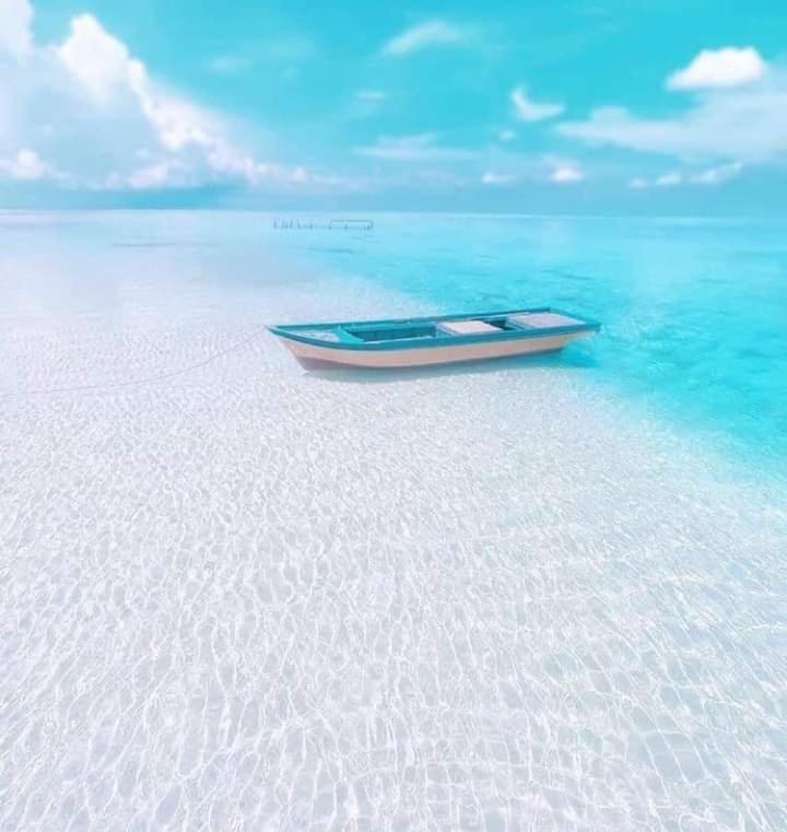 Coral Castle - Goidhoo Maldives Hotel Екстериор снимка