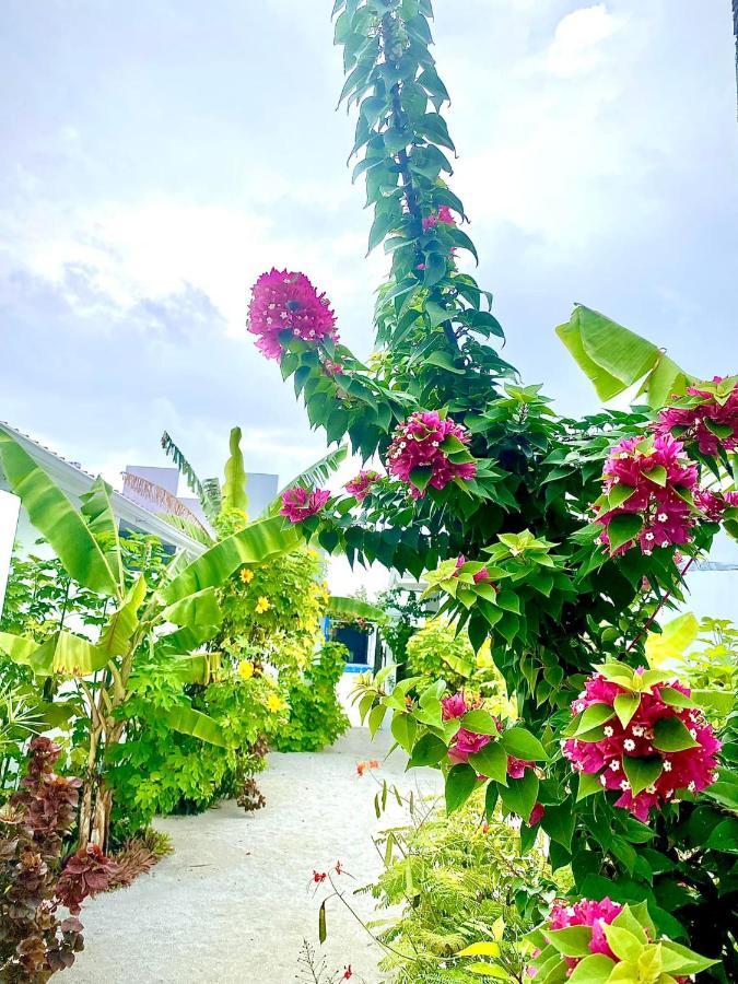 Coral Castle - Goidhoo Maldives Hotel Екстериор снимка