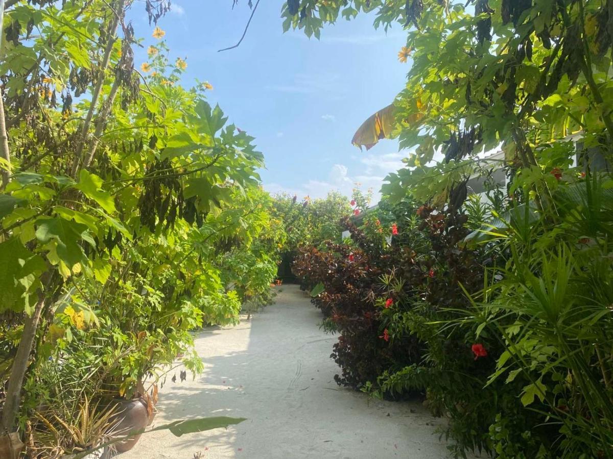 Coral Castle - Goidhoo Maldives Hotel Екстериор снимка